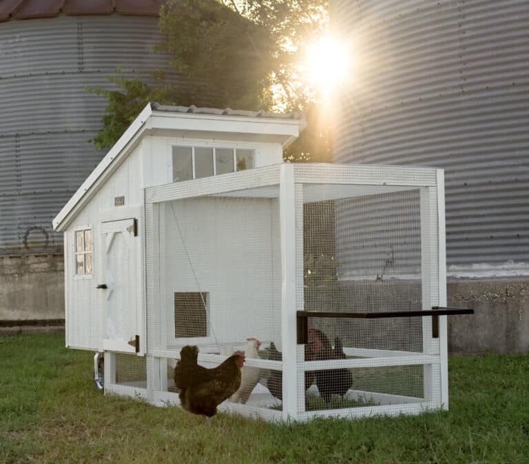 lone star structures chicken tractors