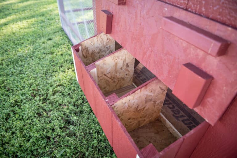 portable chicken coops in texas