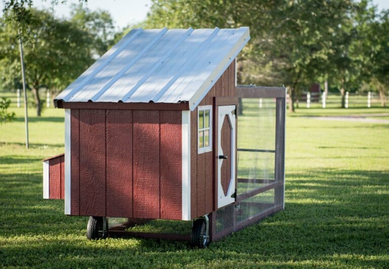 portable chicken tractors for sale in texas