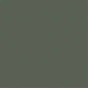pecquea green paint for sheds in texas