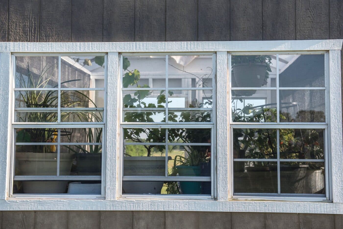ventilation greenhouse maintenance tips